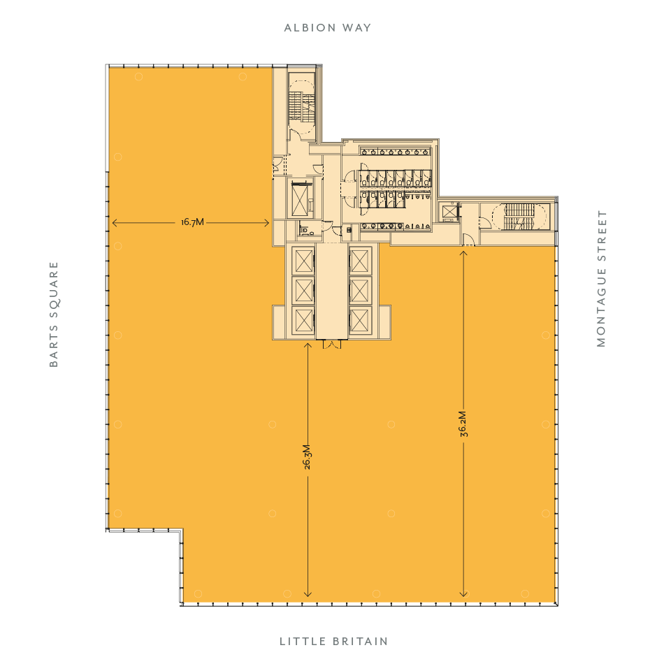 Floor Typical